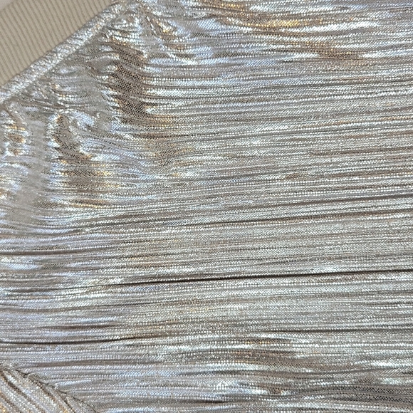 Francesca's Champagne Shimmer Jacket - Picture 4 of 7